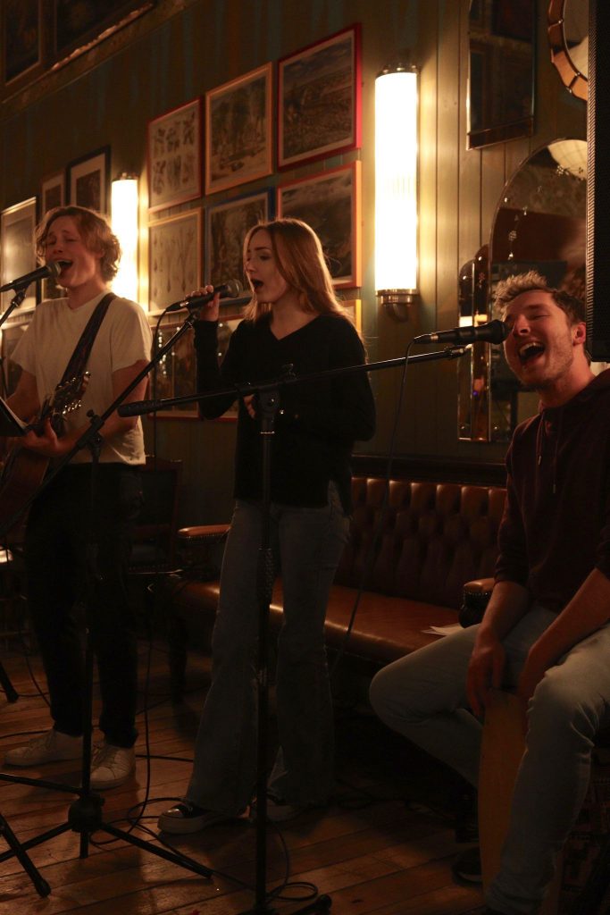 Mandatory Fun Acoustic Trio